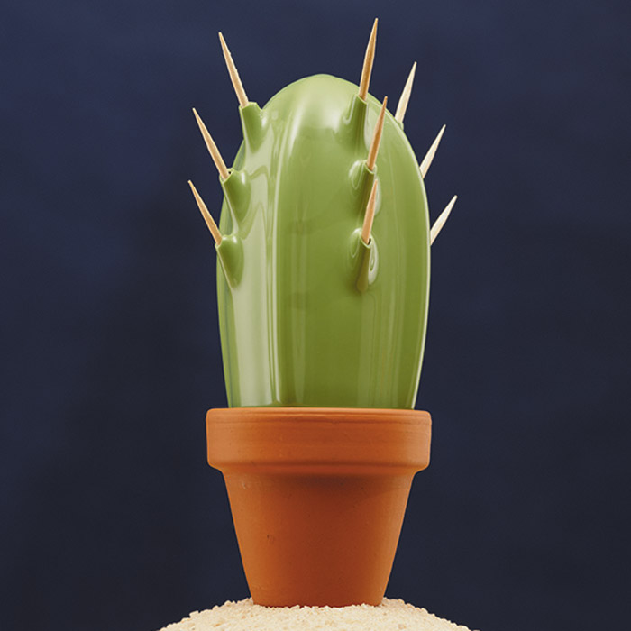 cactus form toothpick case
