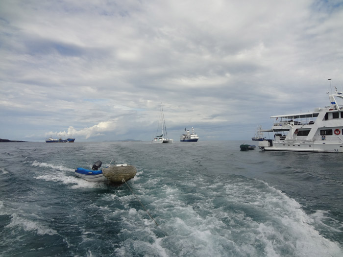 boats at sea in santa cruz