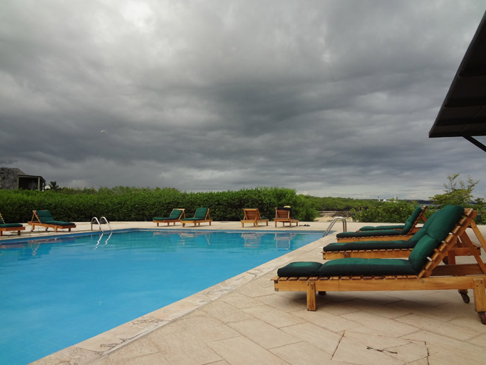 loungers at the finch bay hotel pool