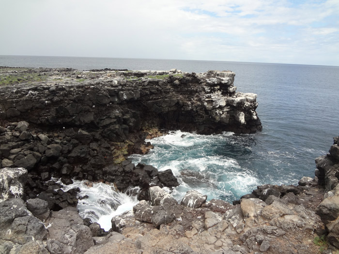 seascape with rocks and water