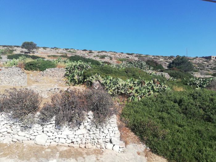 iraklia island landscape