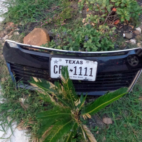 Texas sign in Houston