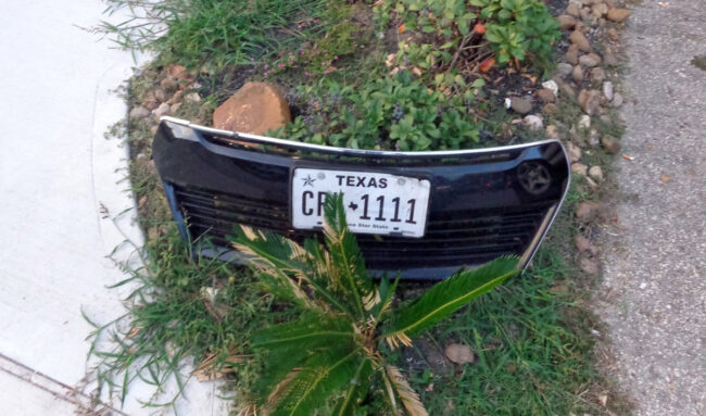 Texas sign in Houston