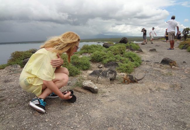 Alexandra Kollaros approaching an iguana at galapagos
