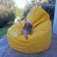 Memobelix beanbag